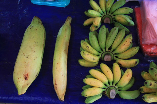 Bananen in allerlei groottes